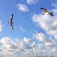 hturhan (@hturhan3) 's Twitter Profile