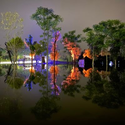 lugu73932580's profile picture. 早安