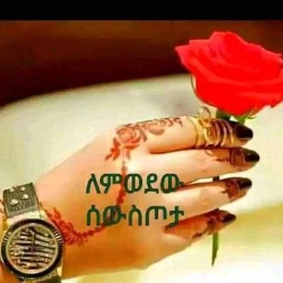 CammadA's profile picture. teacher