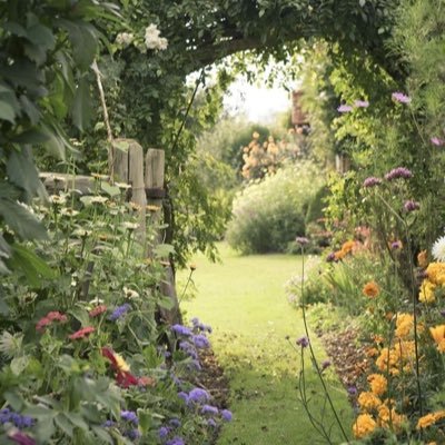 BettinaHackett4's profile picture. 