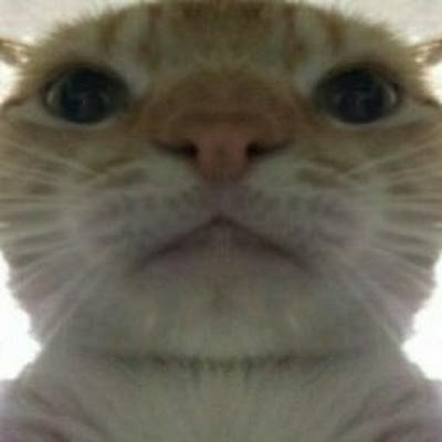stoica_ghenadie's profile picture. 