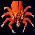 🐻|💤🌐|🧱|☣️=£¥€$|⚡🔗M12/BC(priZ+eQ) - ²naisrep (@opersiano2) Twitter profile photo 🐻|💤🌐|🧱|☣️=£¥€$|⚡🔗M12/BC(priZ+eQ) - ²naisrep (@opersiano2) Twitter profile photo