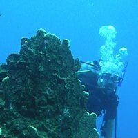 Geogeek (@ge0geek) 's Twitter Profile