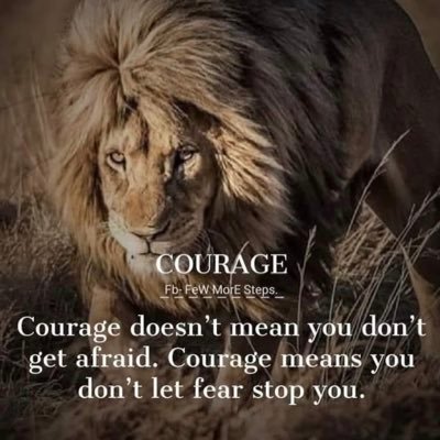 MontanaKat2's profile picture. Lions no sheep, pure blood,ultra MAGA, PATRIOT, 💯 % DJT, 1A2A