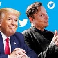 TRUMP/MUSK2024 🇺🇸 Cure your cancer and other diseases @ https://t.co/6G6YBombMO