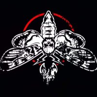 lee eltringham (@eltringham_lee) 's Twitter Profile