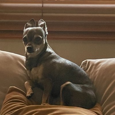 EdilbertoFreddy's profile picture. No Soy Dueño de la VERDAD;Respeto la VERDAD de Otros,Confronto Mi VERDAD Para Aprender a Ser un MEJOR CIUDADANO!.