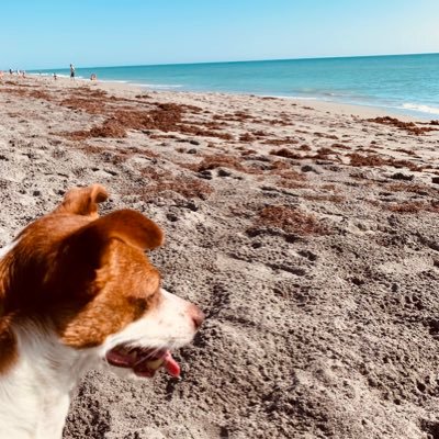 David152542871's profile picture. 