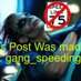 gang_speeding_ (@gang_speeding_) Twitter profile photo