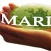MARDO (Mandhere Relief & Development Organisation) (@MARDOORGANIZAT1) Twitter profile photo