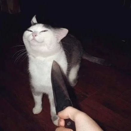 𝕜𝕪𝕥𝕥𝕪 𝕔𝕠𝕞𝕚𝕔 𝕝𝕠𝕧𝕖さんのプロフィール画像