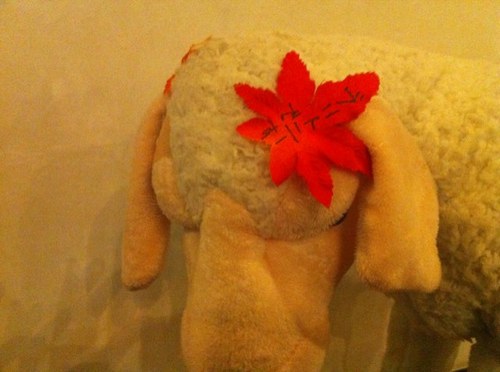 Hum Hug (@Cheker_Flag) | Twitter