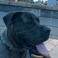 Maxwell Kriescher (@maxkriescher) 's Twitter Profile