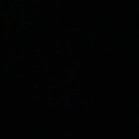 Hanin Hisham (@hanin08hisham) 's Twitter Profile