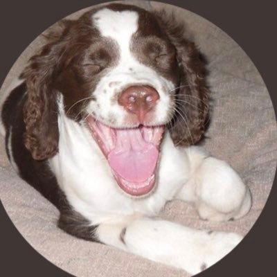 FreeThinker2010's profile picture. 