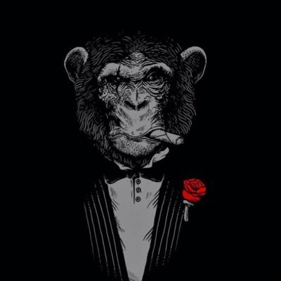 drmiladahmadi's profile picture. #زن_زندگى_آزادى