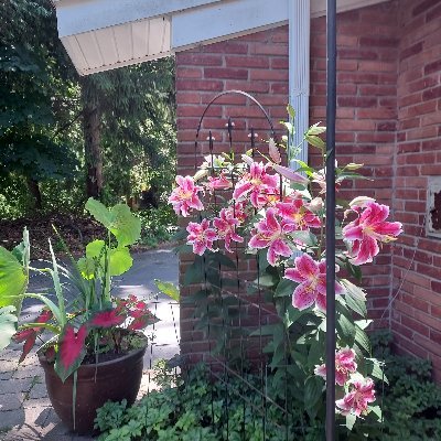 Pat94095002's profile picture. Unabashed Freedom-Loving Conservative, although DJT made me realize I'm really a nationalist/populist.  I love America so much it hurts.