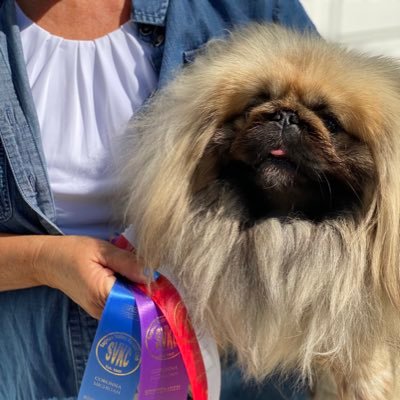 Guyanlange67's profile picture. 