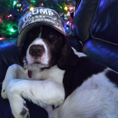 dlmbjsmoke's profile picture. Wife, mother and God Loving True Patriot 🇺🇸🇺🇸 🙏🙏🙏 fighting and researching every day to fight against the tryanny in our world. 🚫 DM's