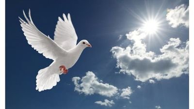 KleberRoi's profile picture. All things are possible to him who believes