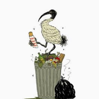 djparoz's profile picture. This is why we cant have nice things