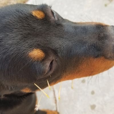 studentg's profile picture. Deal the Cards. I'm All In.