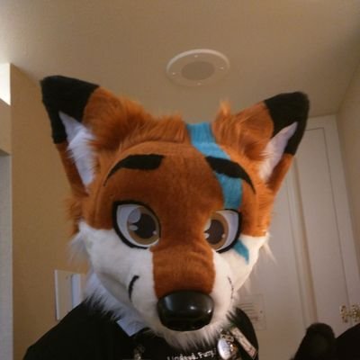 Wild_karrded's profile picture. Red Fox, Purveyor of Poultry Pilfering, Changer of lorg tires, 4wd enthusiast