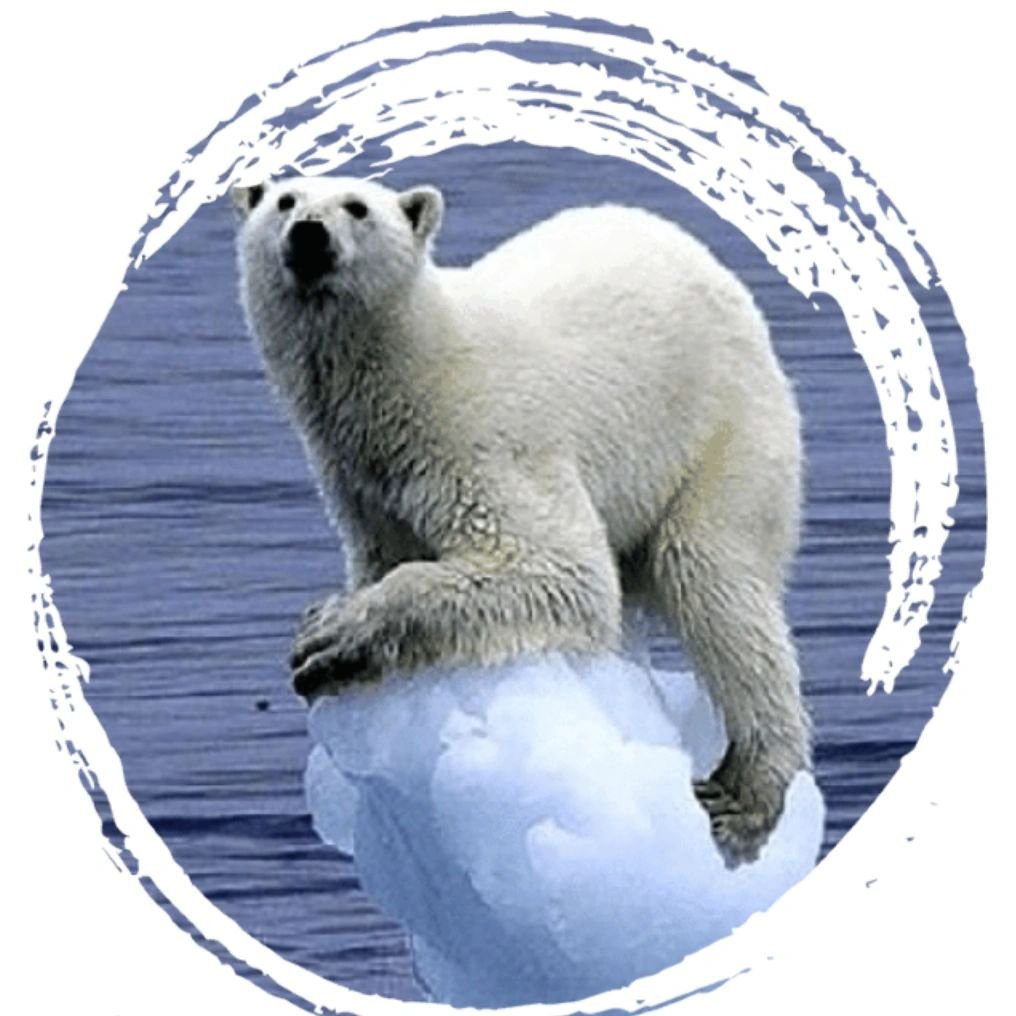 ClimateGlobe's profile picture. Earth is changing, and ClimateGlobe is here to help you understand it. Visit our website to learn more!