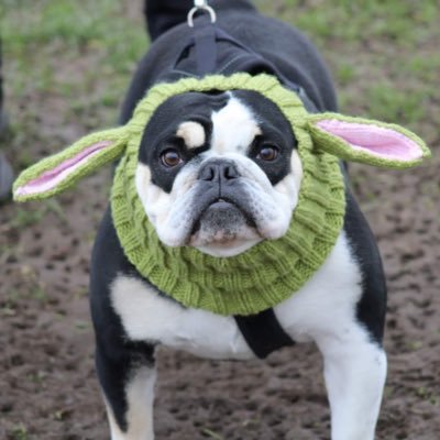 Product manager for a Roche Automation UK. Proud rugby mum and moody bulldog owner 🧪🥼🔬 all views are my own