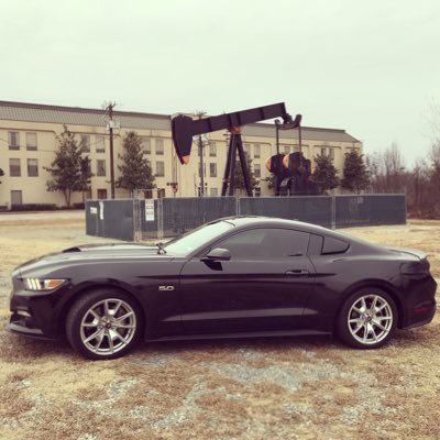 50DallasStang's profile picture. The 1973 Mach 1 is still in the family along with 3 other Mustangs.