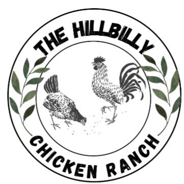 HllblyChcknRnch's profile picture. Find us on YouTube: https://t.co/arbTvCepIp…
We are a small channel trying to grow.  Please share & friend our channel on YT as well.