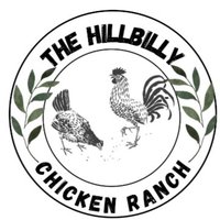 The Hillbilly Chicken Ranch (@hllblychcknrnch) 's Twitter Profile