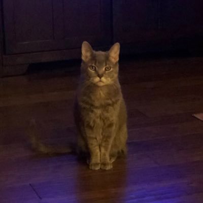 132bbs's profile picture. 