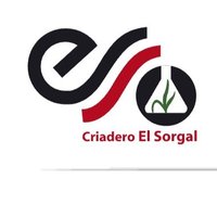 Criadero El Sorgal (@el_sorgal) 's Twitter Profile