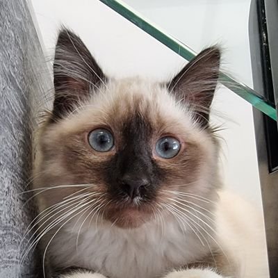 MumOlivers's profile picture. 