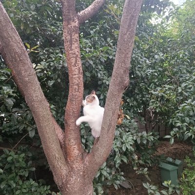 meccccccme's profile picture. 蘇州駐在