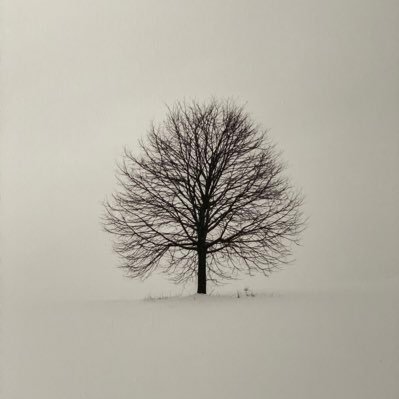 3bdullahotb88's profile picture. رَّبِّ ارْحَمْهُمَا كَمَا رَبَّيَانِي صَغِيرًا