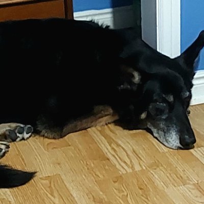 jniiixvi_susan's profile picture. 