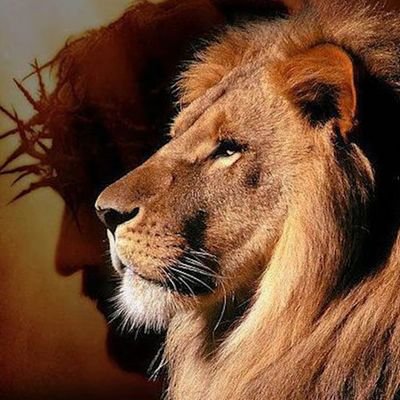 Boo1Mama's profile picture. 