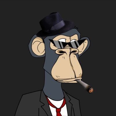 sergestoo's profile picture. 