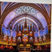 Linicy (@linicy1) 's Twitter Profile