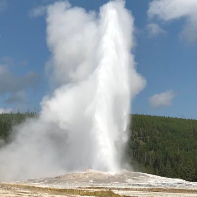 Otisdog13's profile picture. Veteran, US Army paratrooper been around the block a few times, Proud Patriot, love the US and the 2A