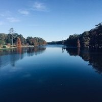 SweetgumRoe (@roesweetgum) Twitter profile photo