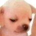 @ (@ihateyuou) Twitter profile photo @ (@ihateyuou) Twitter profile photo