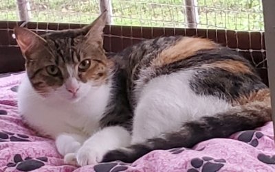 BonniePR Profile