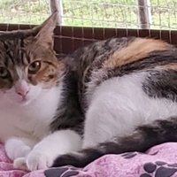BonniePR (@bonniepr2) 's Twitter Profile