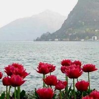 L Gopalreddy (@l_gopalreddy) 's Twitter Profile