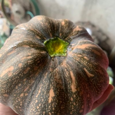 Victoria3221915's profile picture. farmer ☀️shipper❤️‍🔥✨ drummer girl on sundays only🛢️