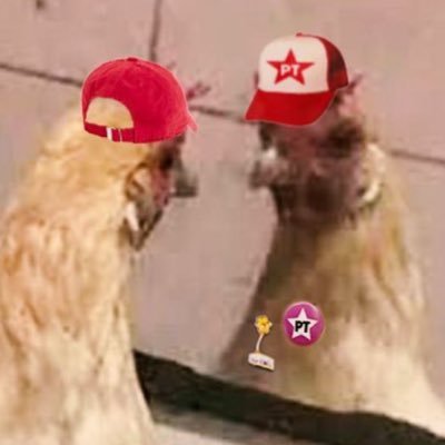 natolivnasc's profile picture. 