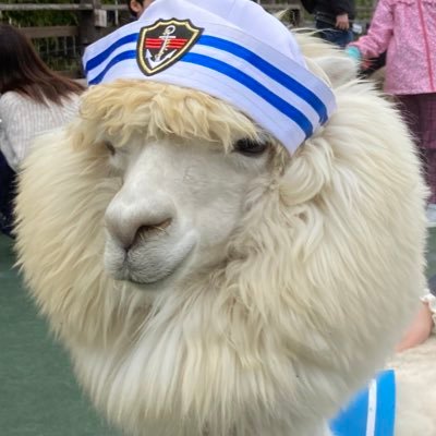 dさんのプロフィール画像